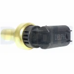 Delphi Hararet Müşürü – TS10269