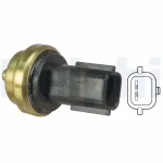 Delphi Hararet Müşürü – TS10458
