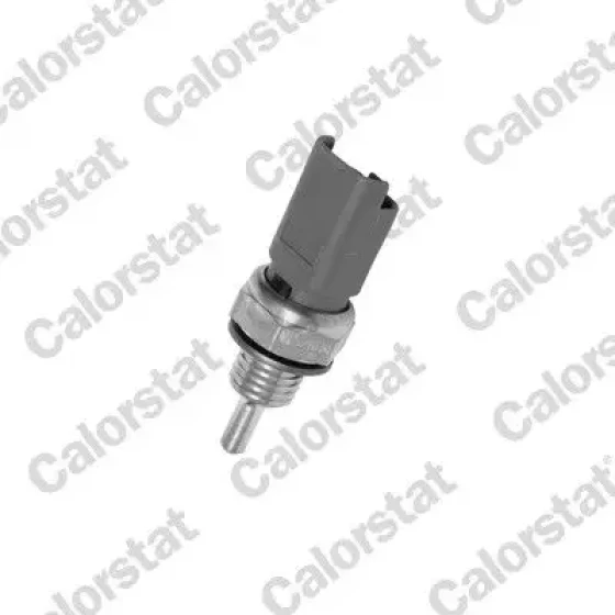 Calorstat Vernet Hararet Müşürü – WS2606 ürün görseli
