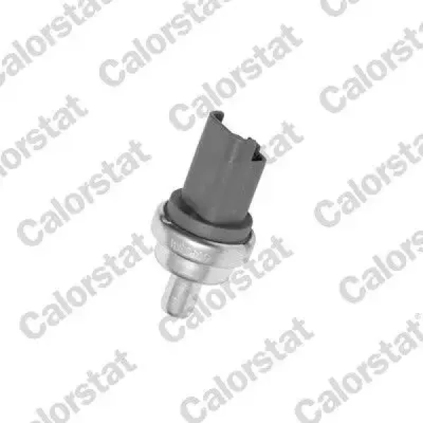 Calorstat Vernet Hararet Müşürü – WS2609