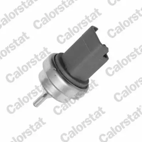 Calorstat Vernet Hararet Müşürü – WS3015 ürün görseli