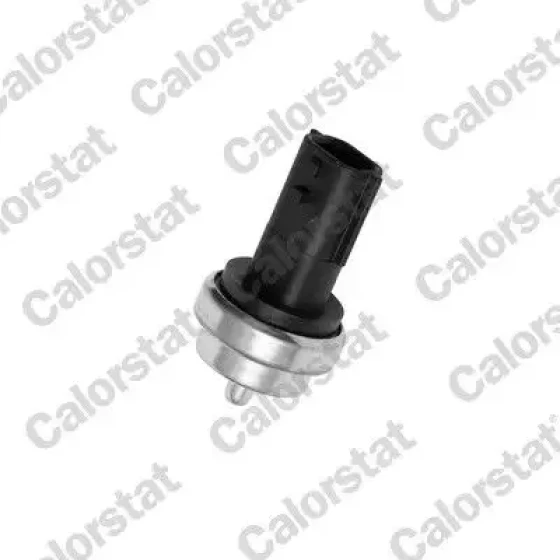 Calorstat Vernet Hararet Müşürü – WS3019 ürün görseli