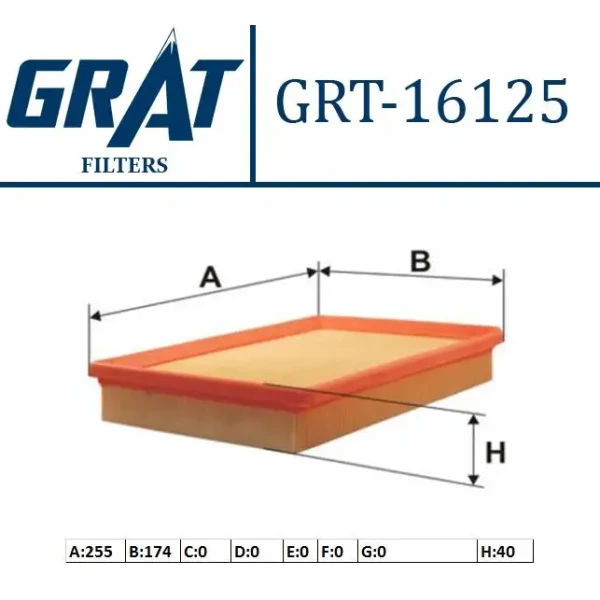 GRAT Hava Filtresi – 16125 / OEM 281132D000