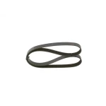 Bosch Kayış – 1987947943 / OEM 6PK1145
