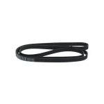 Bosch Kayış – 1987948331 / OEM 5PK2030