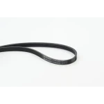 Contitech Kayış – 4PK925