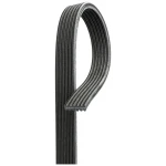 Gates Kayış – 6DPK2215 / OEM 6PK2215