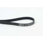 Contitech Kayış – 6PK1019ELAST / OEM 6PK1019