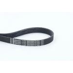 Contitech Kayış – 6PK1029ELAST / OEM 6PK1029