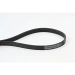 Contitech Kayış – 6PK1352