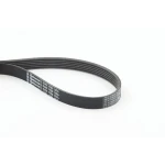 Contitech Kayış – 6PK1750