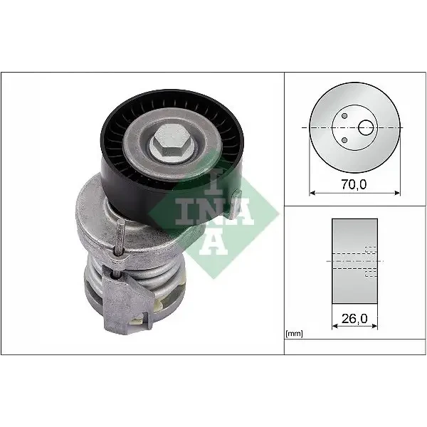 INA Kayış Gergi Kütüğü – 534012320 / OEM 030145299F
