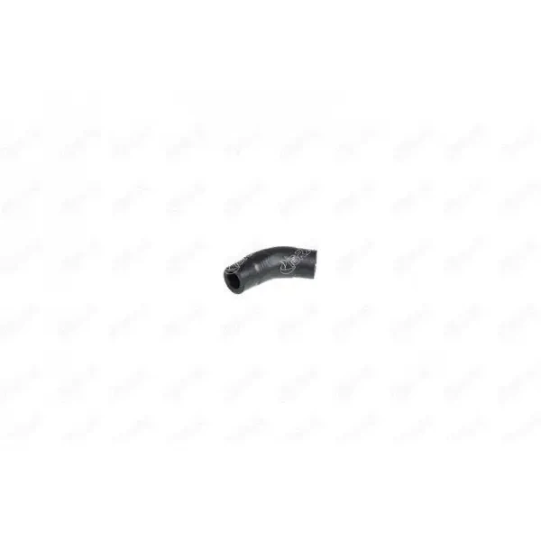 SNR Kayış Gergi Kütüğü – GA350.68 / OEM 11287800333