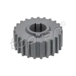 Topran Krank Dişlisi – 205539001