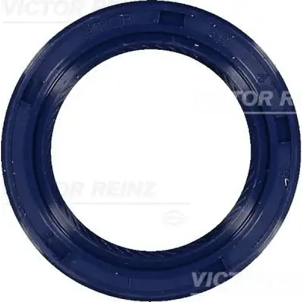 Victor Reinz Krank Keçesi – 81-53453-00 / OEM 96350161