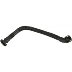 Rapro Motor Havalandırma Hortumu – R19646 / OEM 11157503523