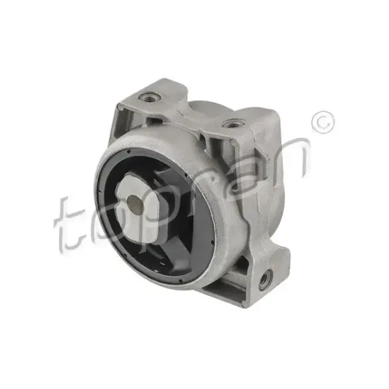 Topran Motor Takozu (Sağ) – 407830001 / OEM A1692400618 ürün görseli
