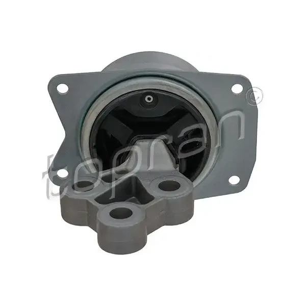Topran Motor Takozu (Sol) – 208202001