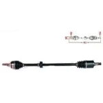 IOTO Ön Aks (Sağ) – 10301-20508 / OEM 44305SNA000