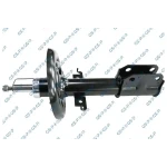 GSP Ön Amortisör – 32303230 / OEM 543022646R
