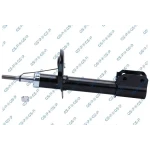 GSP Ön Amortisör – 32317560 / OEM 543022905R