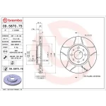Brembo Ön Fren Diski – 09.5870.75