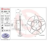 Brembo Ön Fren Diski – 09.6924.75