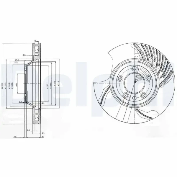 Delphi Ön Fren Diski (Sol) – BG9774