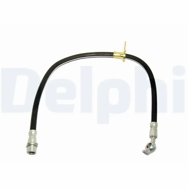 Delphi Ön Fren Hortumu (Sol) – LH0473