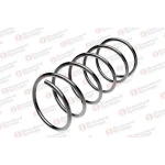 STANDARD YAY Ön Helezon Yayı – ST 106013F