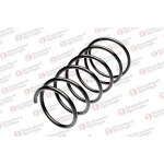 STANDARD YAY Ön Helezon Yayı – ST 109046F / OEM 46801827