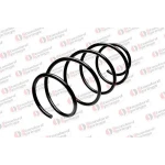 STANDARD YAY Ön Helezon Yayı – ST 109051F