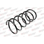 STANDARD YAY Ön Helezon Yayı – ST 112005F