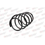 STANDARD YAY Ön Helezon Yayı – ST 123053F