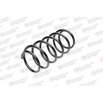 STANDARD YAY Ön Helezon Yayı – ST 124060F