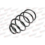 STANDARD YAY Ön Helezon Yayı – ST 125041F