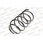 STANDARD YAY Ön Helezon Yayı – ST 125043F