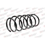 STANDARD YAY Ön Helezon Yayı – ST 127033F