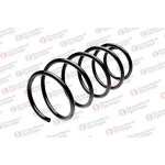 STANDARD YAY Ön Helezon Yayı – ST 130001F