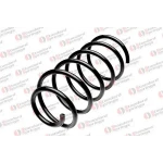STANDARD YAY Ön Helezon Yayı – ST 130007F