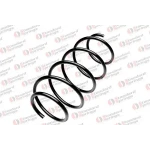 STANDARD YAY Ön Helezon Yayı – ST 130019F