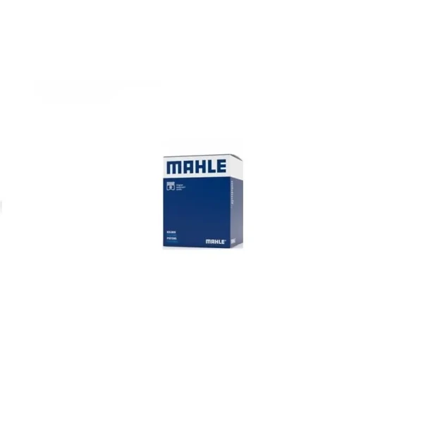Mahle Piston Gömlek Segman (Set) – 0401190 / OEM 0111AQ