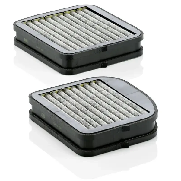 MANN Polen Filtresi (Karbonlu) – CUK22000-2