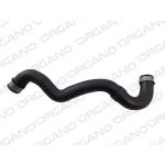 ÜÇPA Radyatör Üst Hortumu – 10H12869 / OEM A2035015782