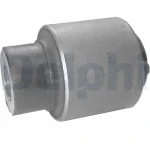 Delphi Salıncak Burcu – TD298W