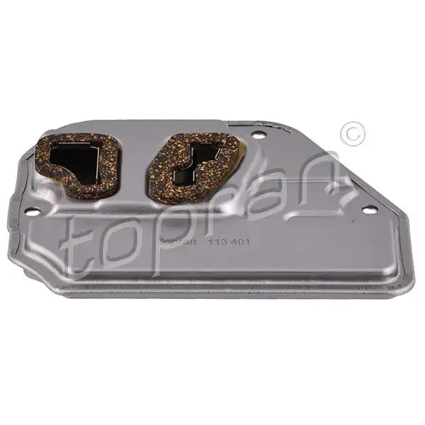 Topran Şanzıman Filtresi – 113401001 / OEM 09K325429