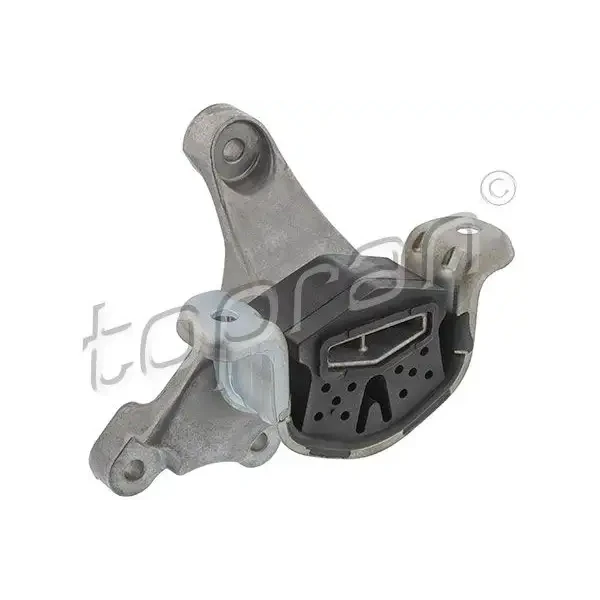 Topran Şanzıman Takozu – 113343001 / OEM 7H0399151G