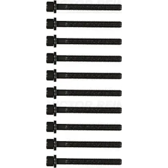 Victor Reinz Silindir Kapak Civatası – 14-32047-01 / OEM 1005250 ürün görseli