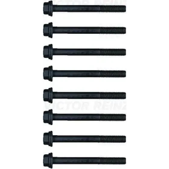 Victor Reinz Silindir Kapak Civatası – 14-32355-01 / OEM 94580081 ürün görseli