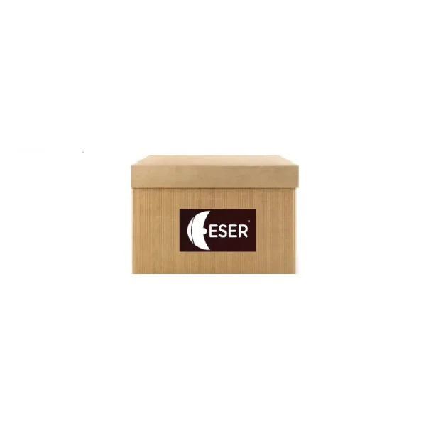 ESER Sinyal Lambası (Sağ) – 2880591 / OEM 7701366193